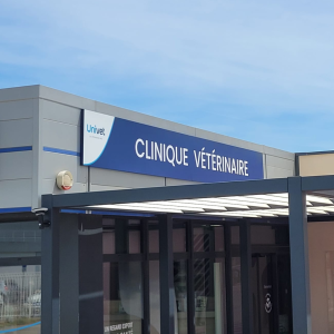 Vaucluse