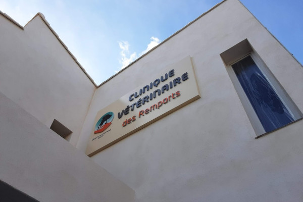 Lettres découpées - Vaucluse