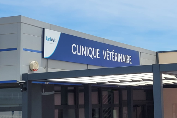 Vaucluse