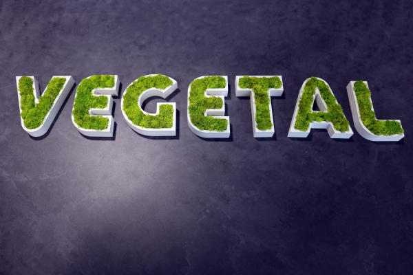 Logo végétal 