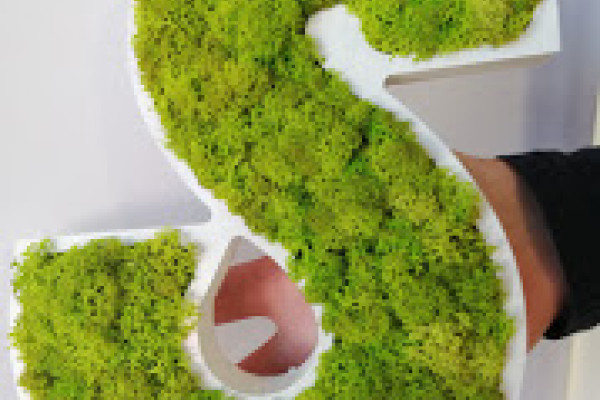 Logo végétal 